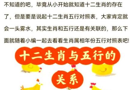 生肖五行配对 五行与十二生肖的搭配方式