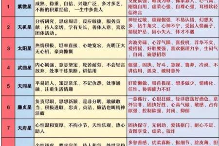 我是紫薇斗数