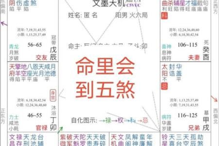 网盘紫薇斗数