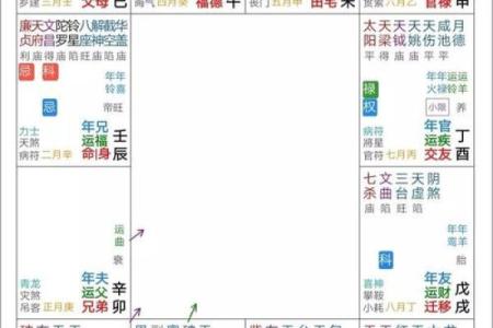 紫薇斗数什么星是大老婆命