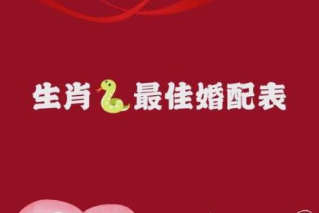 属马男和属蛇女的怎么样合吗 属马男和属蛇女配对是否适合