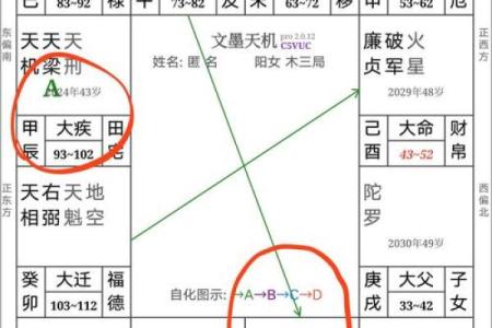 紫薇斗数发微论注解