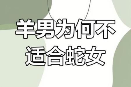 羊姻缘 羊姻缘配对？