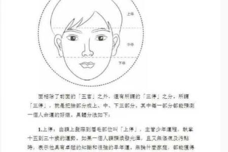 面相算命入门什么是三停 面相基础知识
