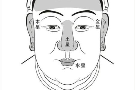 男人眉毛看相算命
