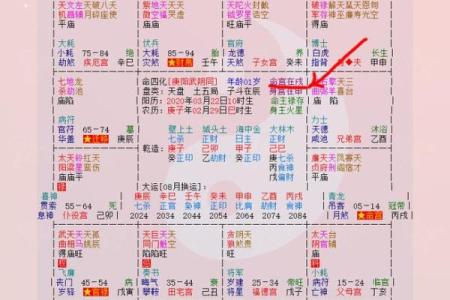 八字命宫作用