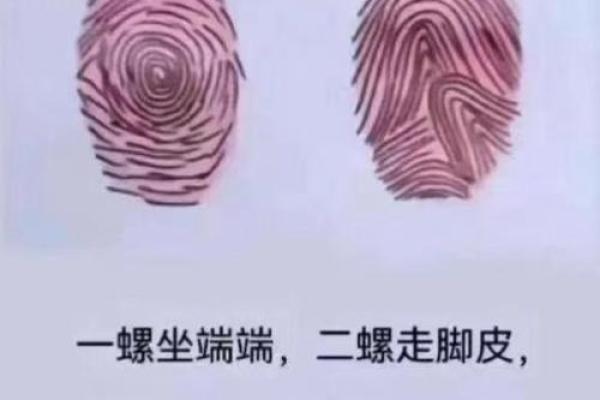 全国5大有趣的指纹算命口诀