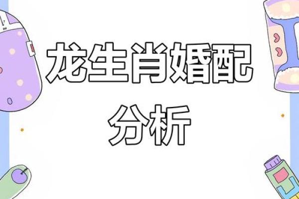 属龙女跟什么属相最配对