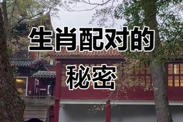肖虎最佳配对生肖大揭秘 肖虎最佳配对生肖大揭秘