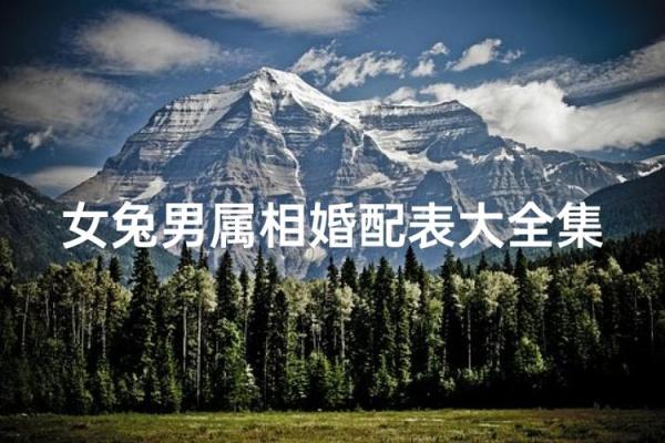 女兔男羊生肖配对姻缘 属兔女与属羊男婚姻配对详解