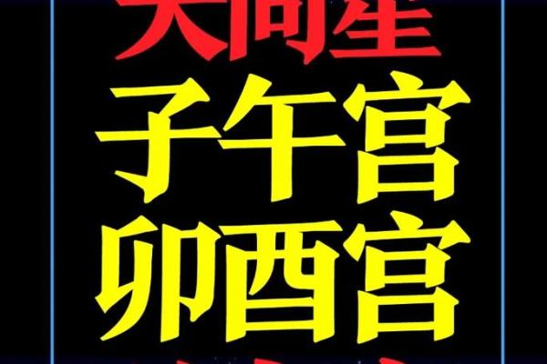 紫薇斗数夹贵禄