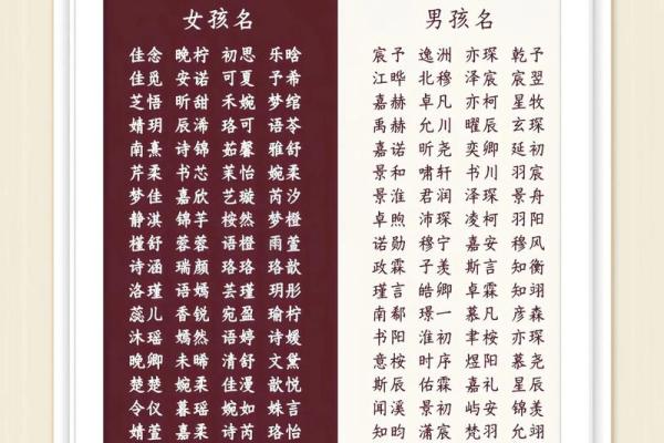 2019年5月5号丑时出生的男孩要怎么起名字姓名
