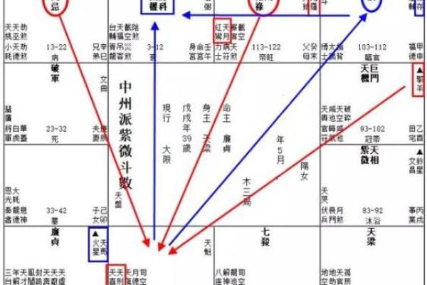 紫薇斗数运势曲线图