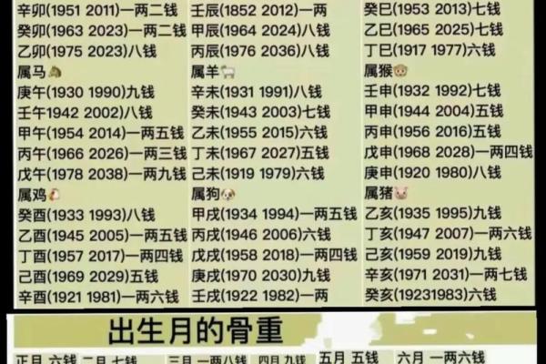 算命骨头皮