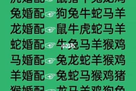十二生肖最佳婚姻配对