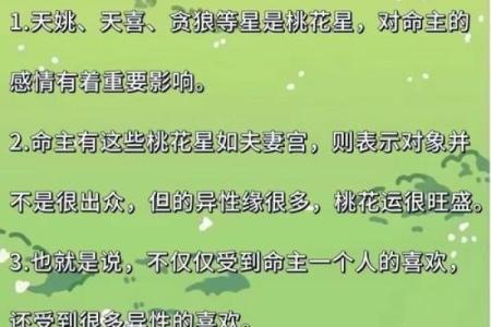 紫薇斗数如何看智慧