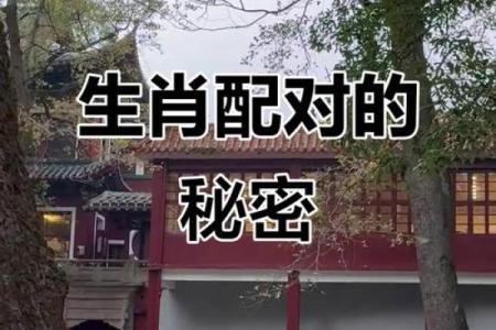 肖虎最佳配对生肖大揭秘