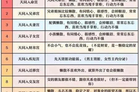 紫薇斗数怎么分析