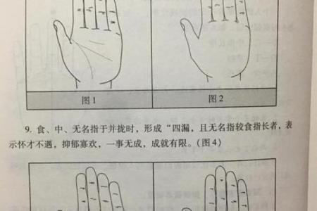 《手相学习百科》：认识双手