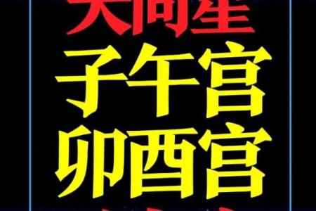紫薇斗数夹贵禄