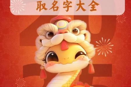 朱姓名字男女配对 朱姓配什么字取名有意义？