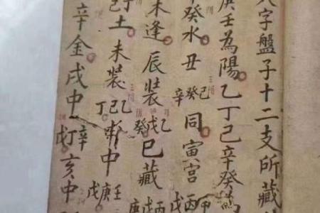 清代写本算命书