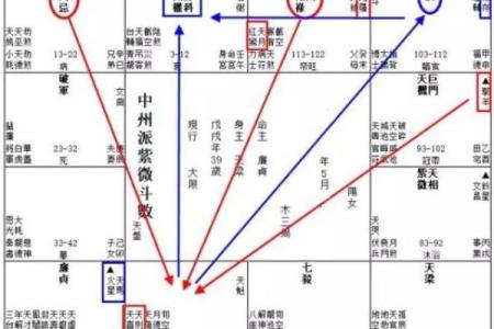 紫薇斗数运势曲线图
