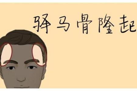 算命骨头皮