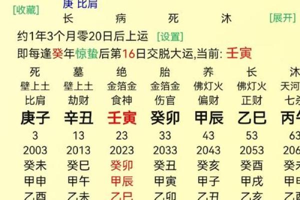算命说命带小童是什么意思
