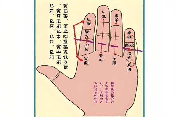 易经网算命