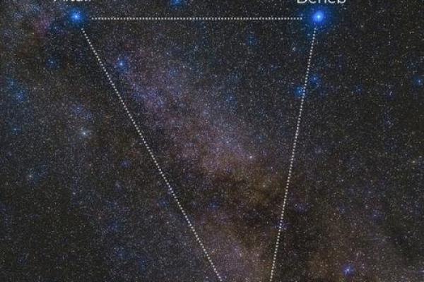 牛郎星是哪位星座的亮星