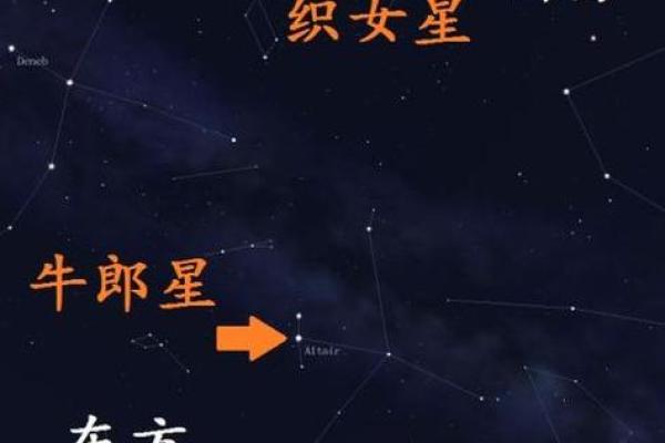 牛郎星是哪位星座的亮星