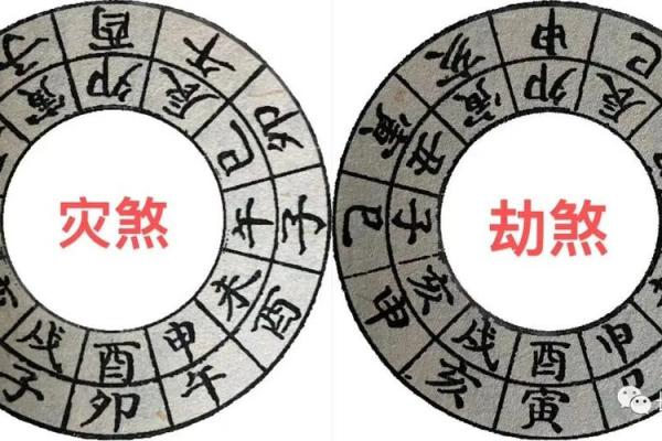 子午卯酉八字