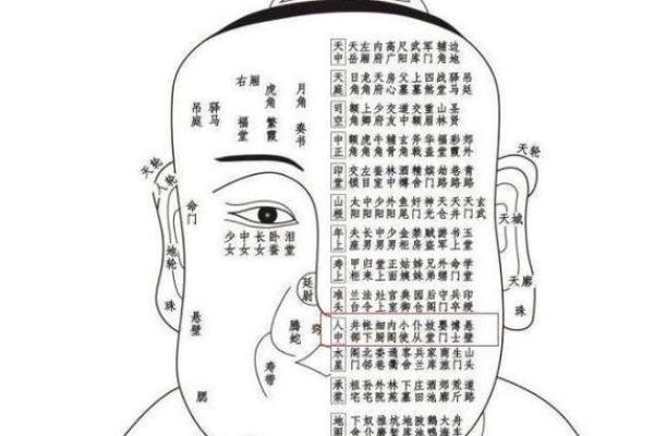 八字全阳的女人的子嗣 命运如何