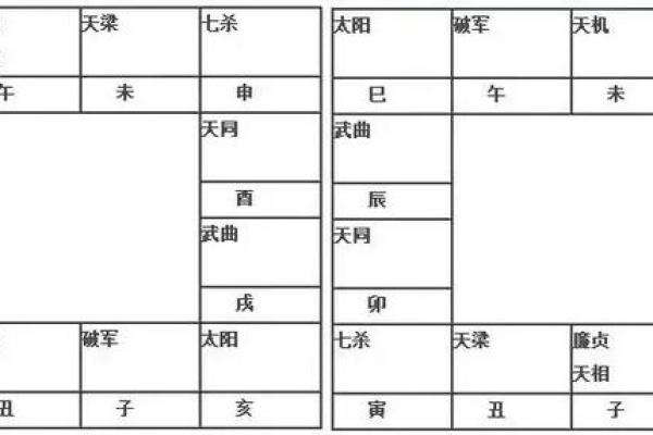 紫薇斗数免费详细排盘