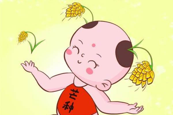 芒种前出生好还是芒种后 2024年芒种出生人的八字