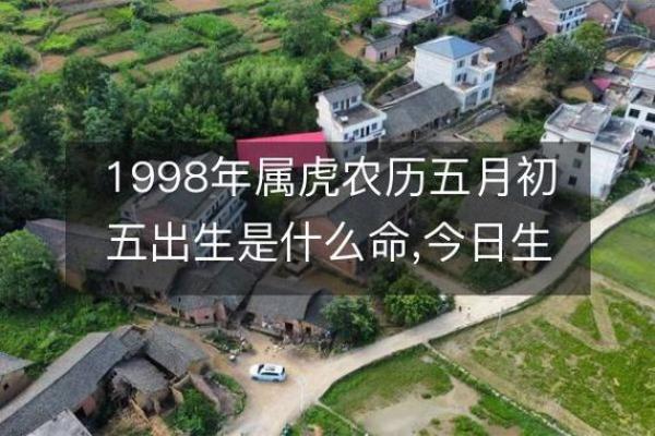 属虎人是什么八字命格