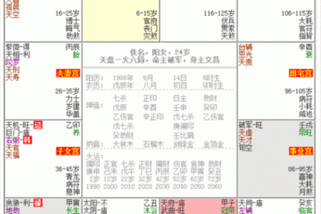 紫薇斗数女命紫薇