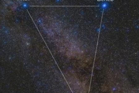 牛郎星是哪位星座的亮星