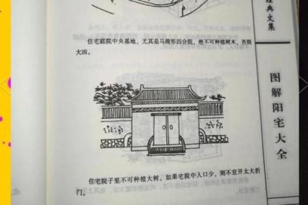 房子周围栽树风水
