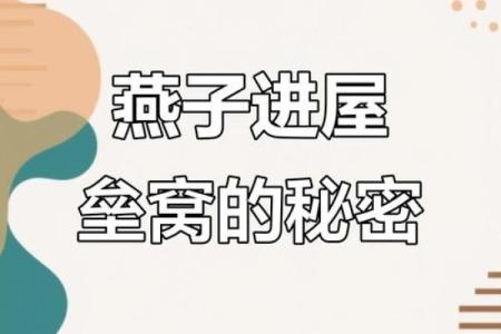专挑富贵人家筑巢，燕子真的会看风水？