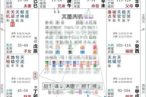 紫薇斗数看配偶样貌