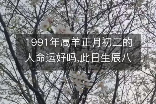 属羊出生最好六个吉日 属羊的出生吉日