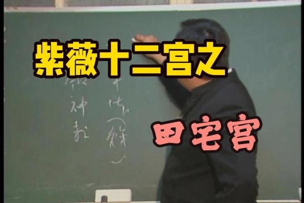 紫薇斗数大田宅