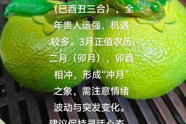 属鸡是哪一年出生的 属鸡的男孩出生吉日