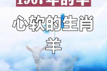 属羊出生最好六个吉日 属羊的出生吉日