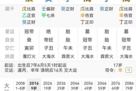 八字看什么人适合当官