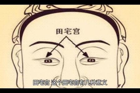 紫薇斗数大田宅