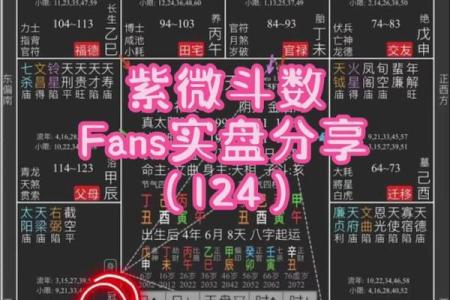 紫薇斗数计算小限