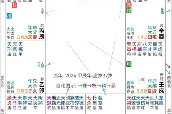 紫微斗数天府在疾厄宫